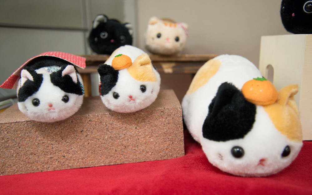 Tsuchineko Wagokoro  13