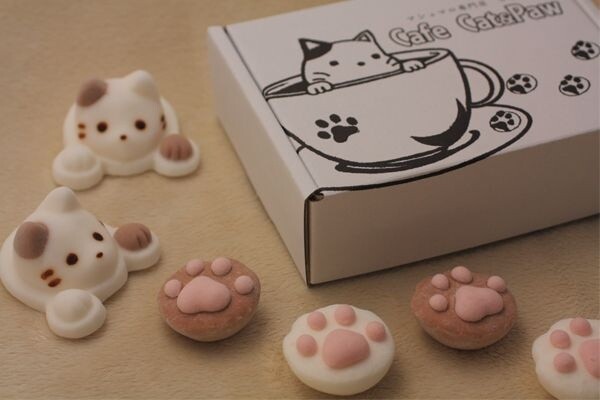 Marshmallow Shop Yawahada Creates Cat-Inspired Marshmallows! 2