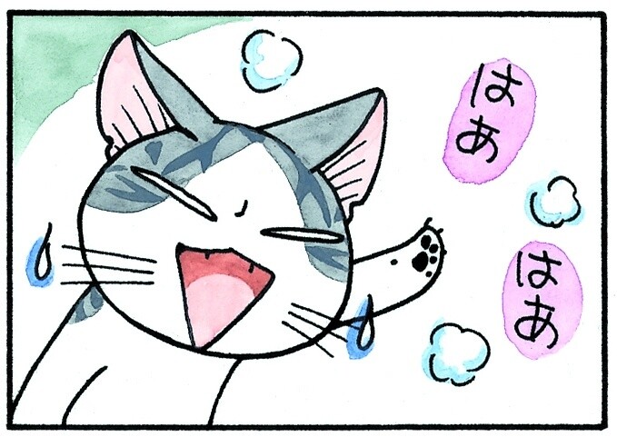 Details About 3DCG Chi’s Sweet Home Series Released! Koneko no Chi Ponponra Daiboken Airs Oct. 2! 8