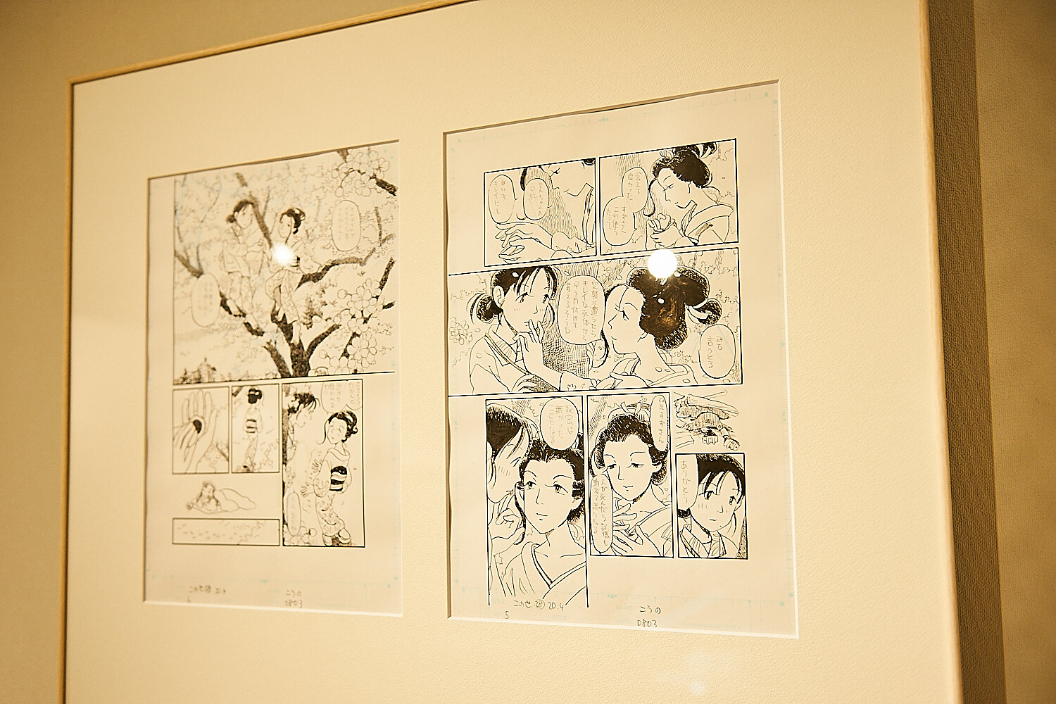 In This Corner of the World Exhibition [Photo Report] 53