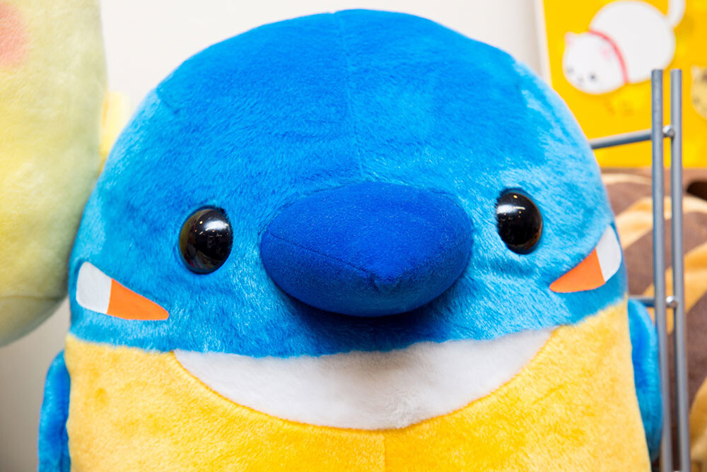 Tobidase Kotori Tai - Kingfisher 3