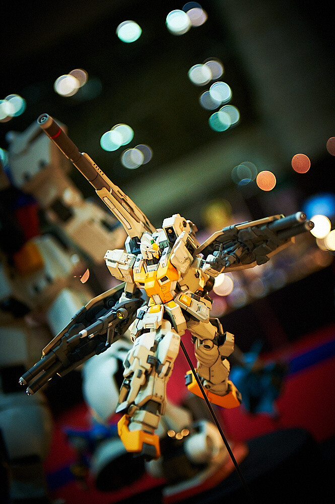 Joint Festival Doll and Figure Event Captivates Attendees 11