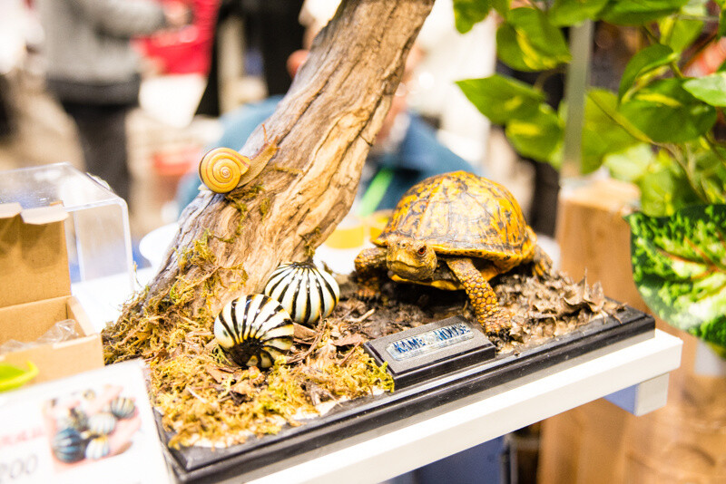 WonFes 2016 Winter Photo Collection! Part 1: Cool & Comical 69