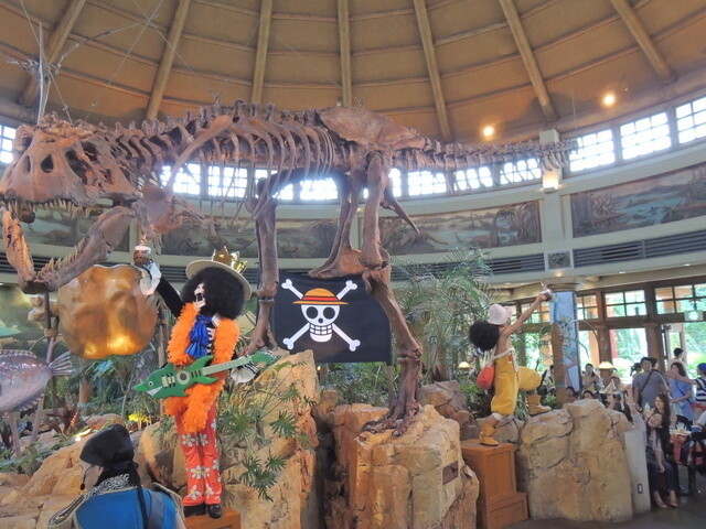 A view from inside the Straw Hat Pirates’ Restaurant. 8