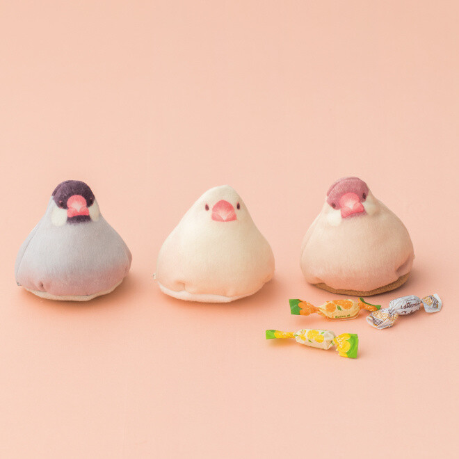 These Java Sparrow Pouches Are Sweet as Mochi! 1