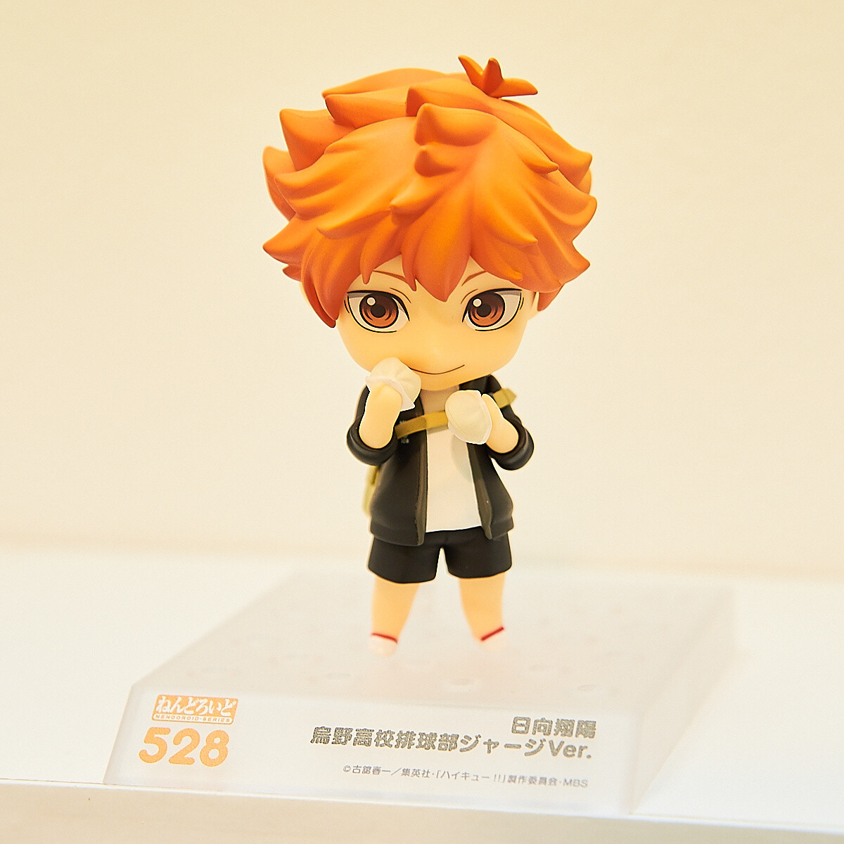 Good Smile Company 15th Anniversary Exhibition: Nendoroids [Photo Report] 120
