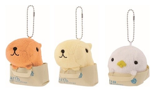 Girl Party Wednesday Prize 5