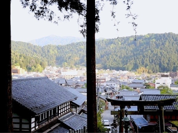 Urushi Umbrella Bottles Combine Traditional Japan with Everyday Convenience 9