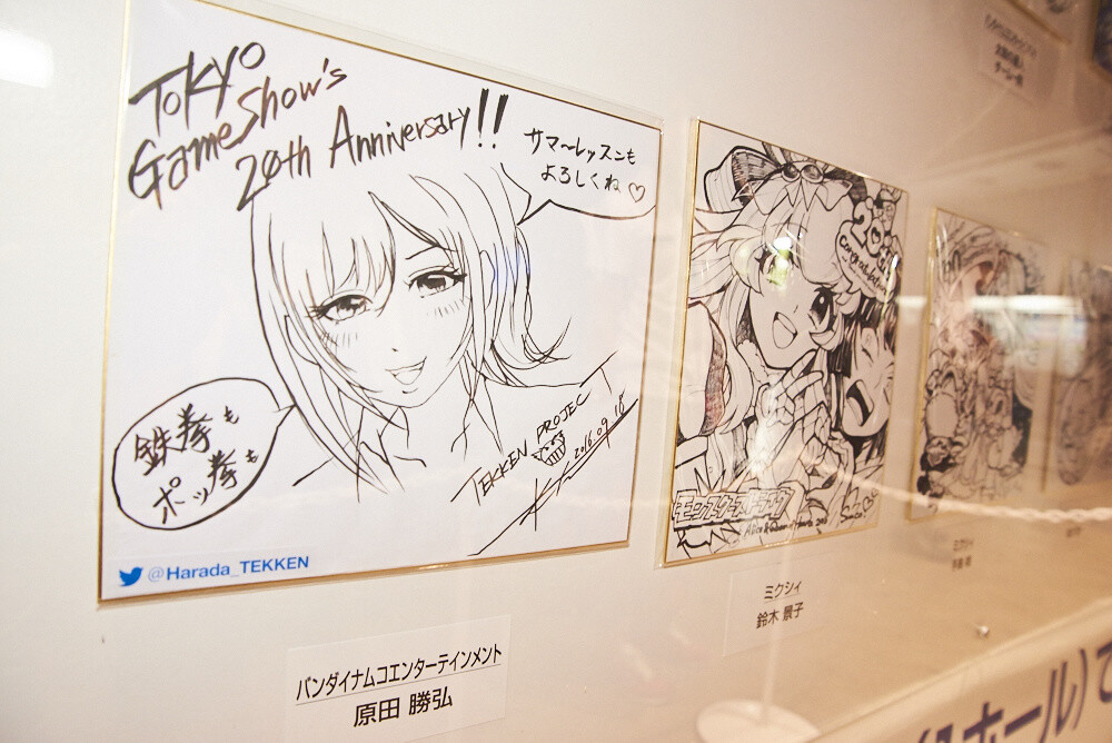 Tokyo Game Show 2016 [Photo Report] 38