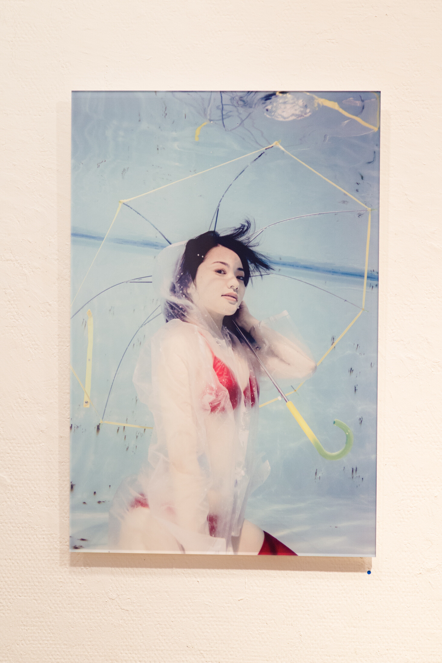 “Underwater Knee-High Girls Plus” GIVE AWAY! Dive Headfirst into the World of Underwater Knee High Socks! 7