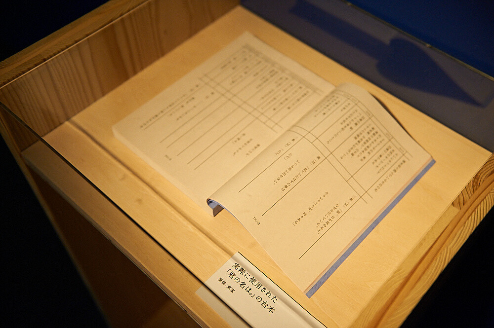 Kimi no Na wa. Exhibition [Photo Report] 10