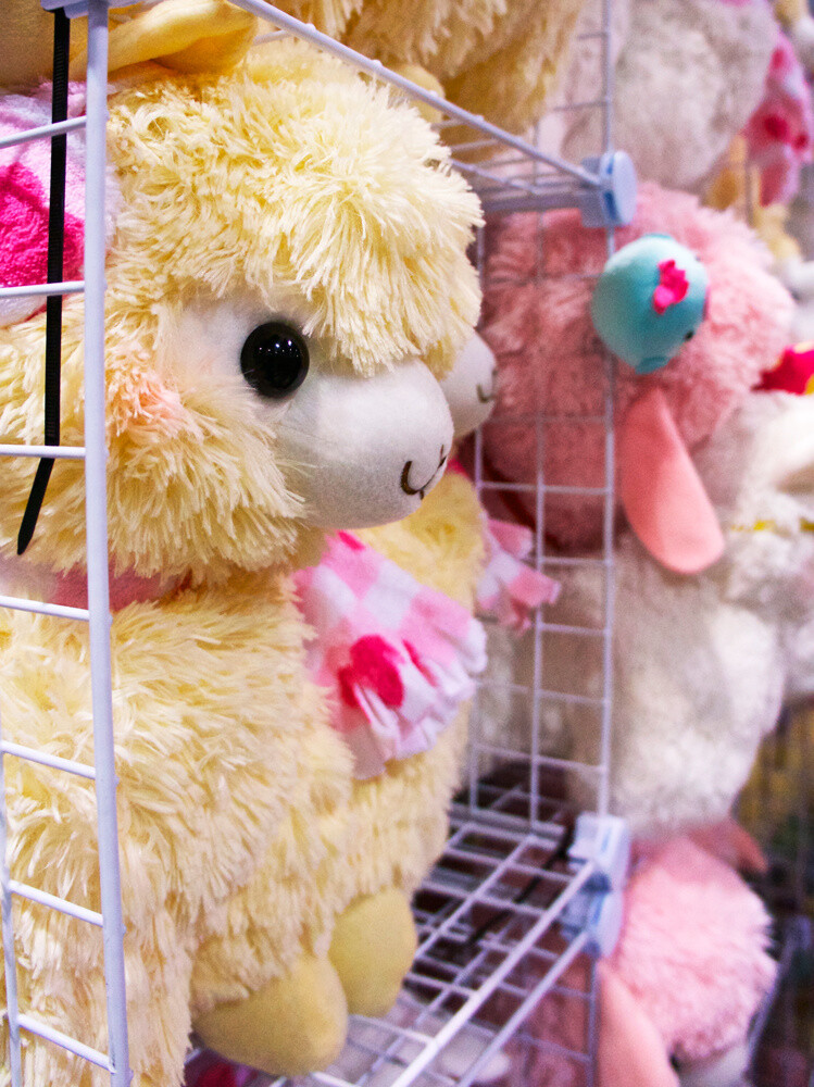 Otaku Life Around the World: Toronto, Canada 1