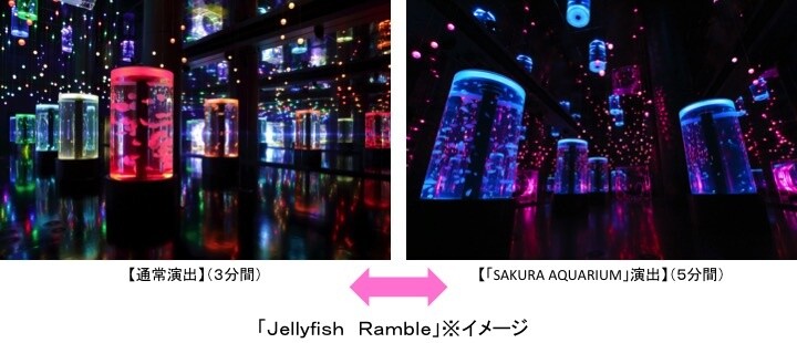 Dancing Petals and a Sea of Cherry Blossoms: Sakura Aquarium by Naked! 9