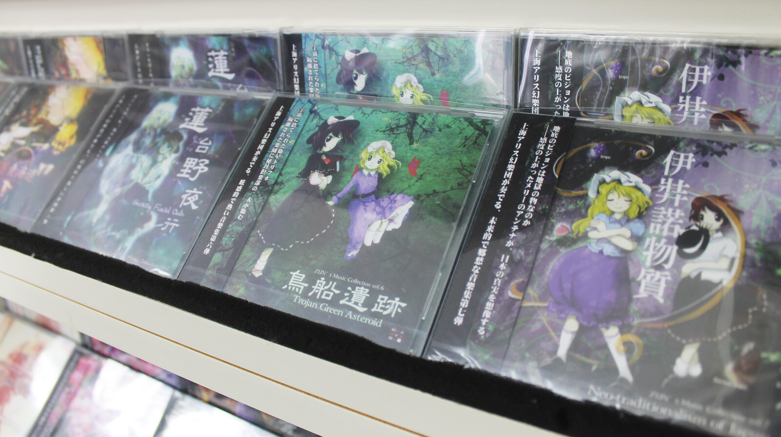 TOUHOU NAMINOAMAMIYA SURPARASHOP AKIHABARA: The Go-to Shop for Touhou Project Fans 8
