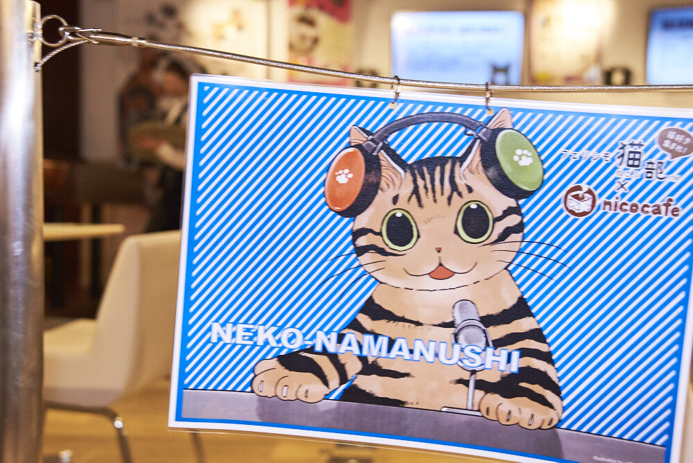 Felissimo Cat Club × nicocafe Collab Cafe: the Purrfect Place to Relax! [Photo Report] 12