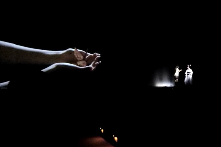 Rediscover the Charm of Japan at Meijiza Through the Story of Sakura! 15