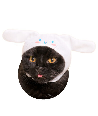 Turn Your Cat Into Hello Kitty With Adorable Collab Headwear! 5