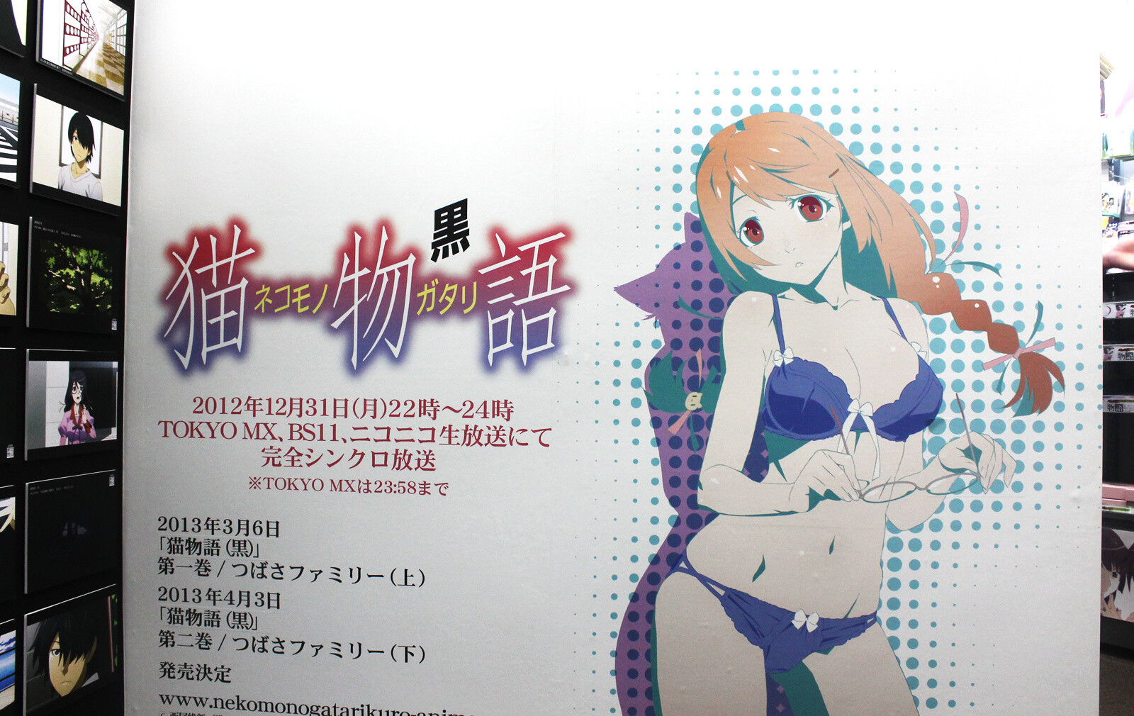 Happy New Year! Greet the New Year by Coming to Akihabara! (Part 1 of 2) 9