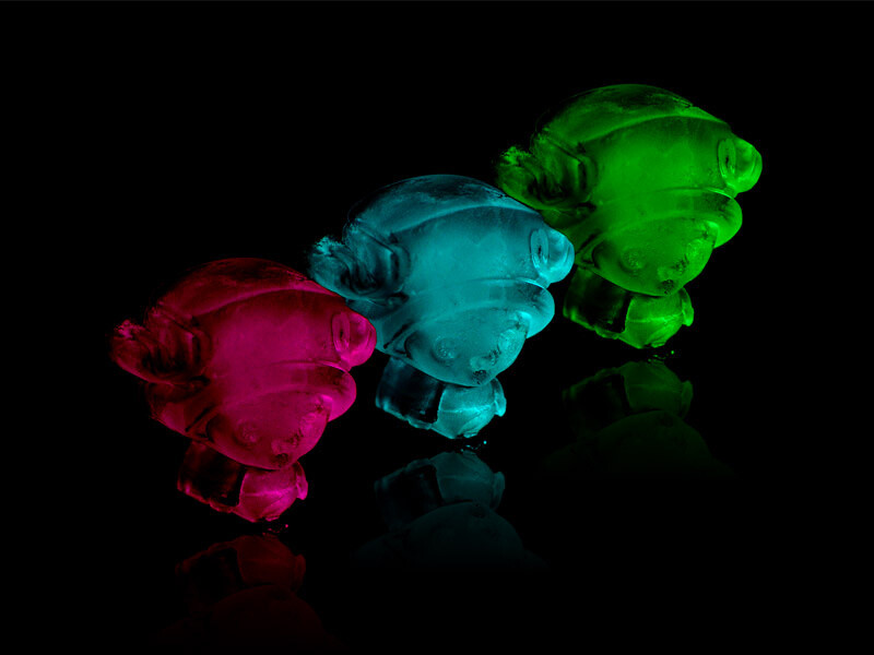 © Oda Eiichiro/Shueisha Inc., Fuji Television Network Inc., Toei Animation Co., Ltd. 4