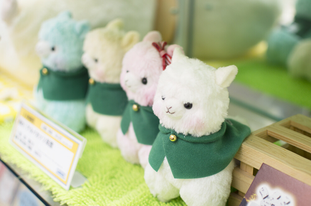 Advancing Alpacasso Corps! Sales Begin in August! 4