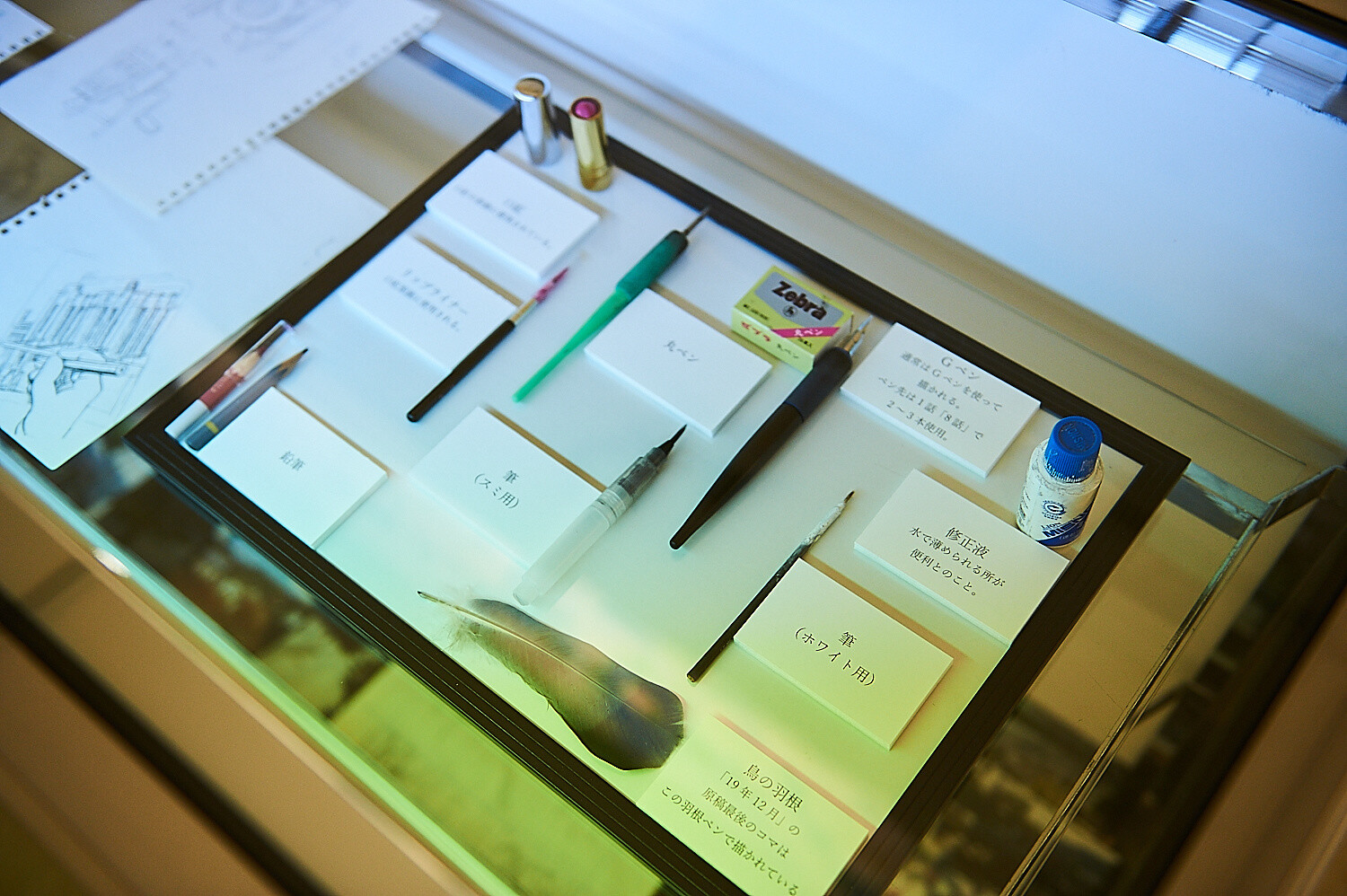 In This Corner of the World Exhibition [Photo Report] 47