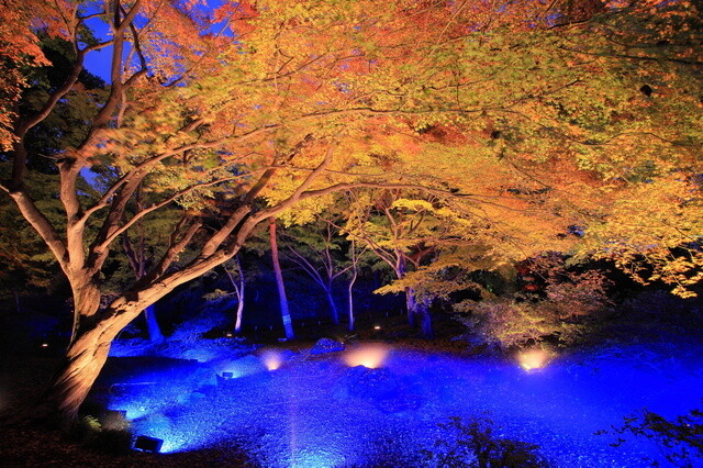 10 Beautiful Spots in Tokyo They Don't Tell You About [Ikemen Edition] 3