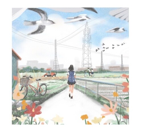 Live-Action Film Adaptation of *Tokyo Shutter Girl* to Release This December 4