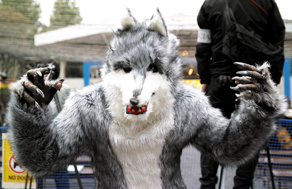 Fifty Years of Supporting Japan’s Anime Industry! A Look at the Birthplace of Japanese Anime: Nerima 24