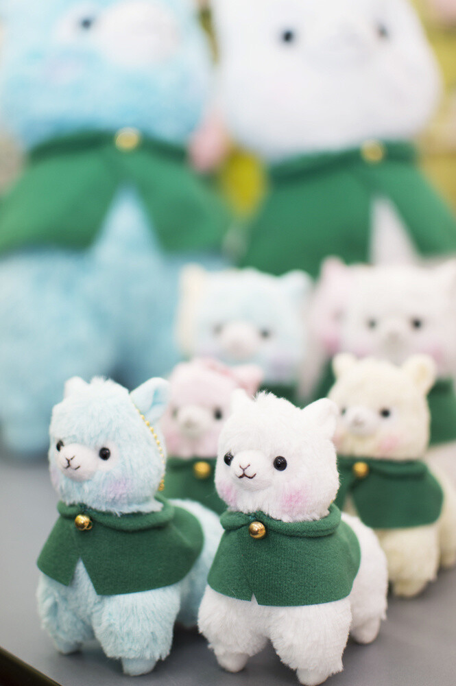 Advancing Alpacasso Corps! Sales Begin in August! 0