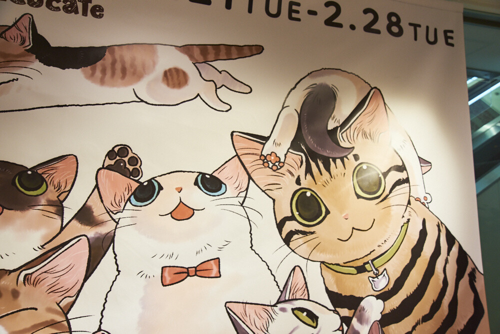Felissimo Cat Club × nicocafe Collab Cafe: the Purrfect Place to Relax! [Photo Report] 45