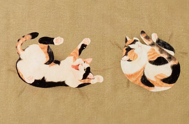 Discover the Joy of Keeping Cats with Sleeping Kitty Towels! 5