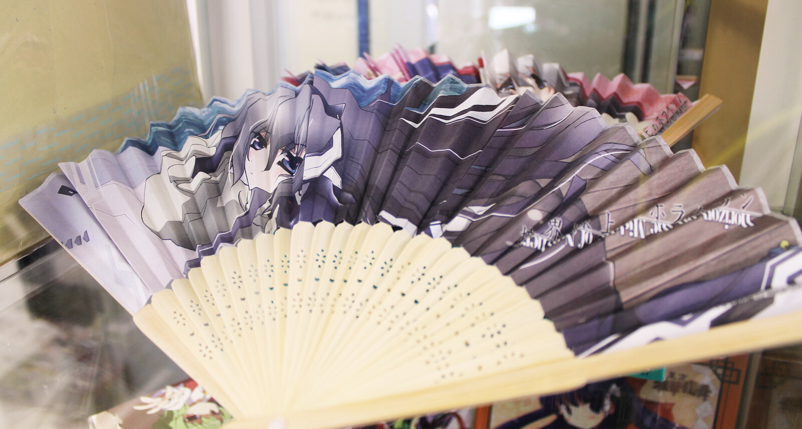 TOUHOU NAMINOAMAMIYA SURPARASHOP AKIHABARA: The Go-to Shop for Touhou Project Fans 11