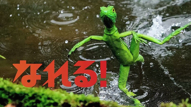 Attack on Titan Characters Transform Into Wild Animals For Museum Collab! 14