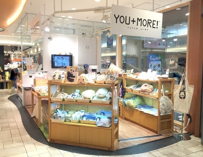 Discover the Joy of Keeping Cats with Sleeping Kitty Towels! 9