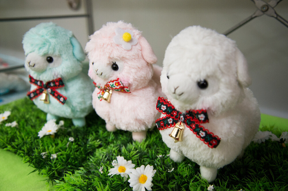 Makiba no Kids Alpacasso series 1