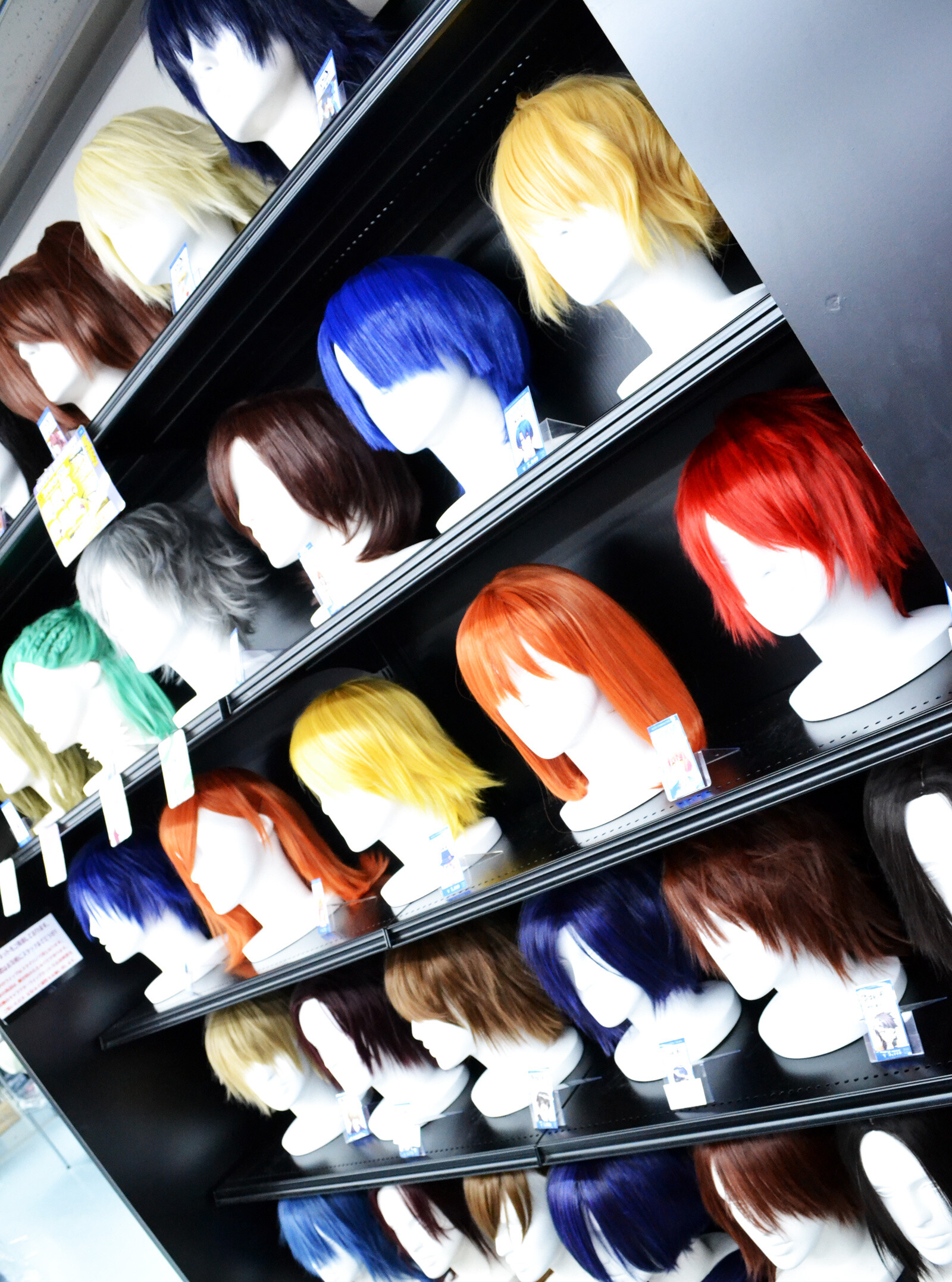 TOM Infiltrates the Best Anime Shop in the World! [1/3] 2