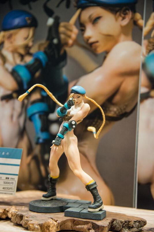 WonFes 2016 Winter Photo Collection! Part 2: Sexy & Cute 196