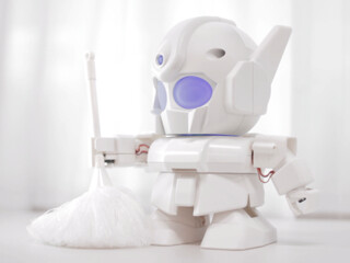 3D-Printed and Reasonably Priced Bipedal Robot Kit RAPIRO 0