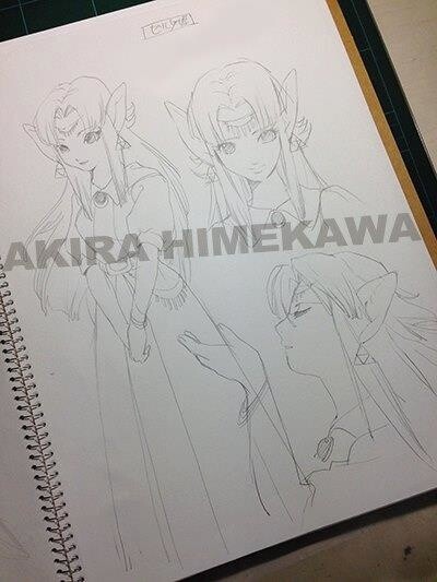 Manga Artist Akira Himekawa Teaches How to Draw Manga with Masterpiece The Legend of Zelda Vol. 3: Plot 4