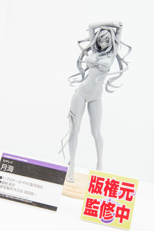 WonFes 2016 Winter Photo Collection! Part 2: Sexy & Cute 233