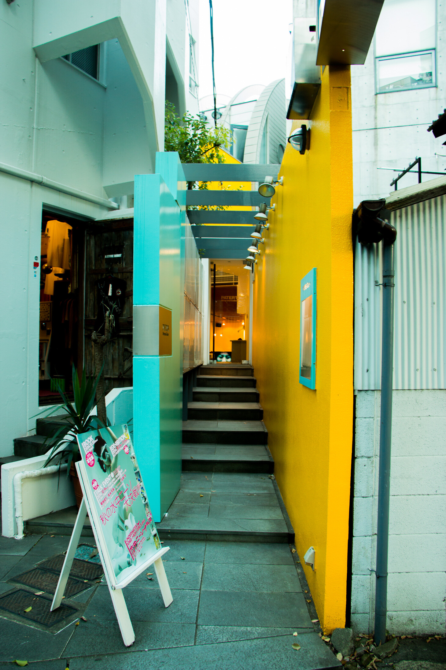 “Underwater Knee-High Girls Plus” GIVE AWAY! Dive Headfirst into the World of Underwater Knee High Socks! 3