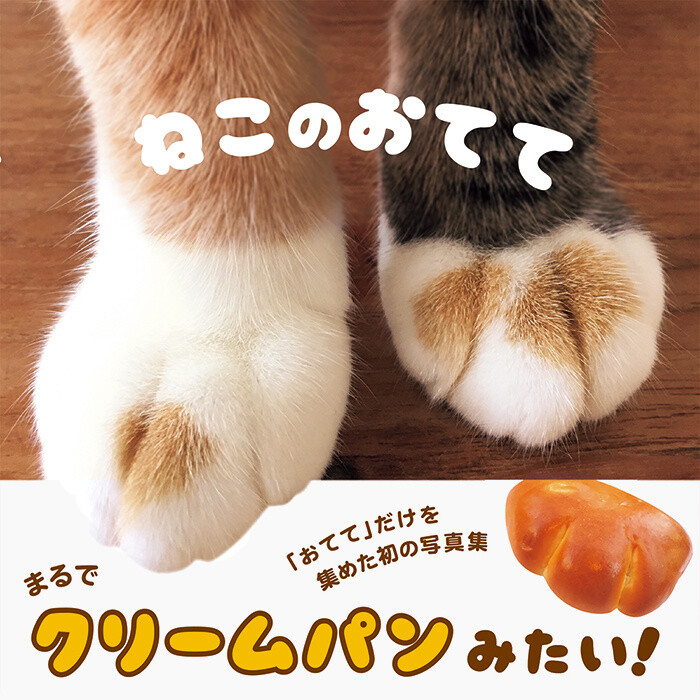 Precious Neko no Otete Photo Book Focuses on Kitties' Adorable Little Paws! 0