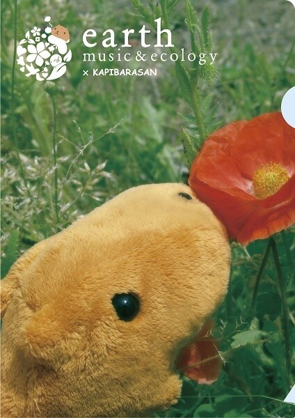 Wonderful and Charming Everyday Prize 0