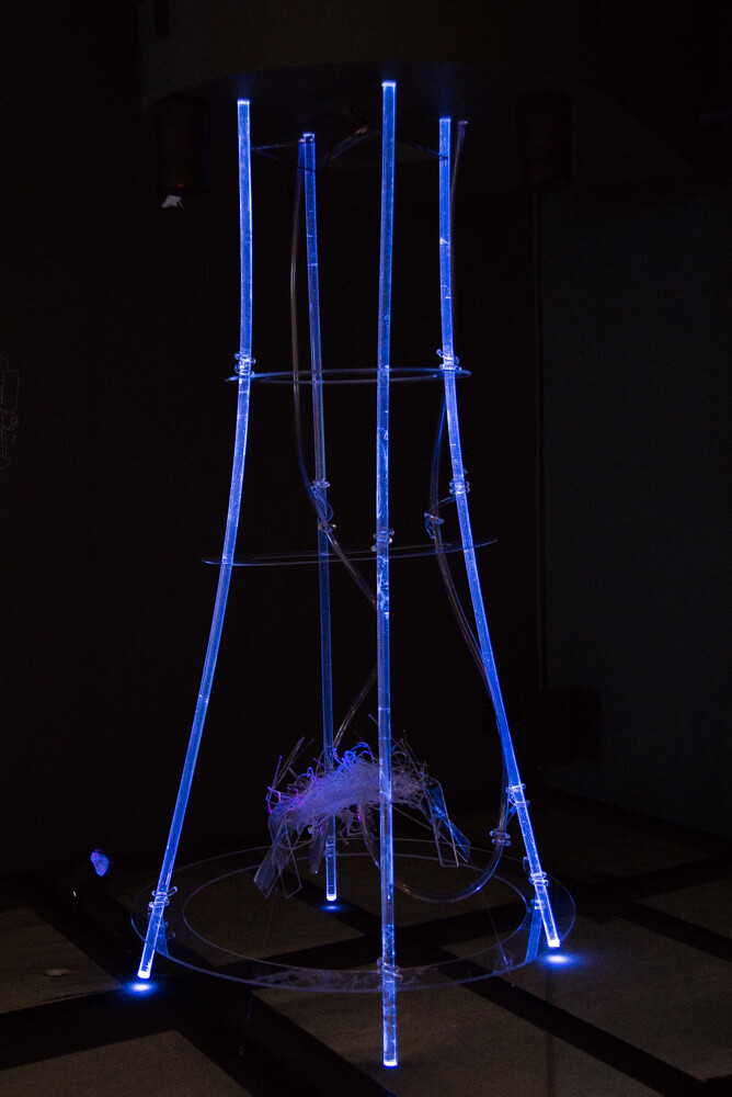 Review: The 18th Japan Media Arts Festival - Envision the Future Through Art 31