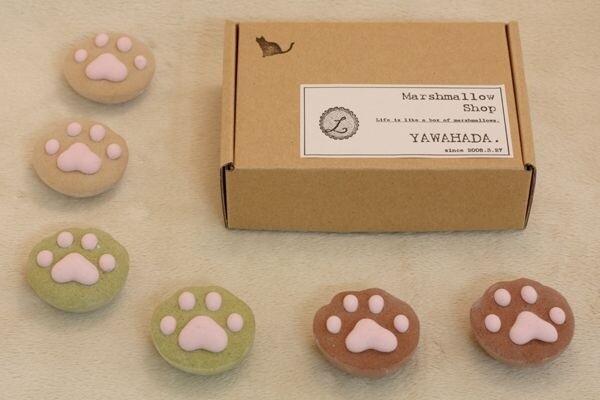 Marshmallow Shop Yawahada Creates Cat-Inspired Marshmallows! 6