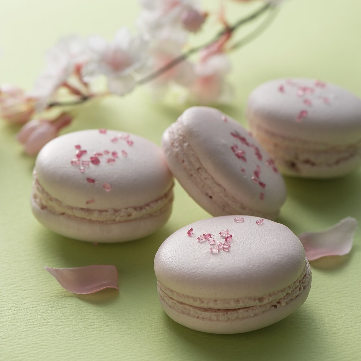 Catch Cherry Blossom Fever with These Sakura-themed Treats! 5