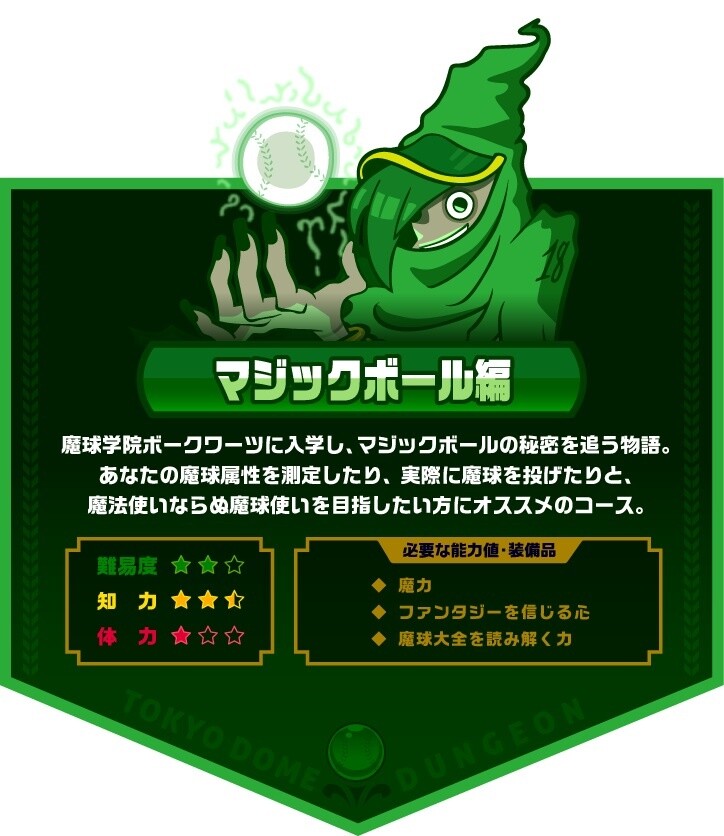 Magic Ball course details 5