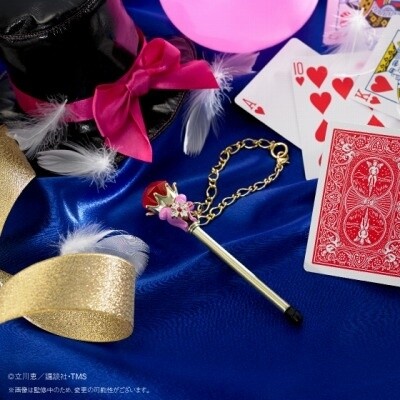 © Megumi Tachikawa, TMS 1