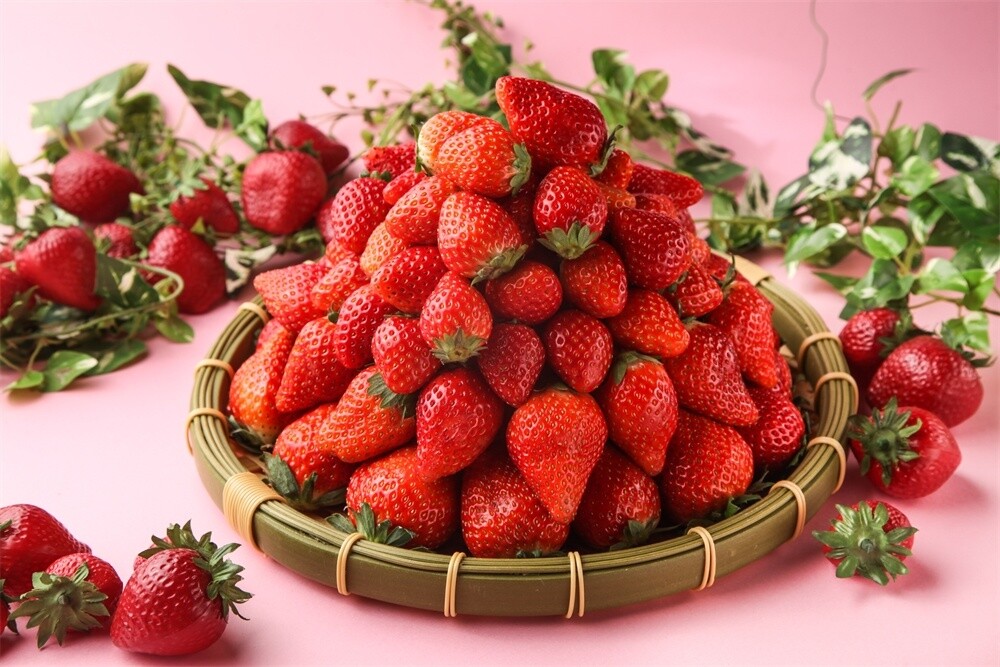 Tokyo Restaurant Holds “Strawberry Tasting Festival” 11