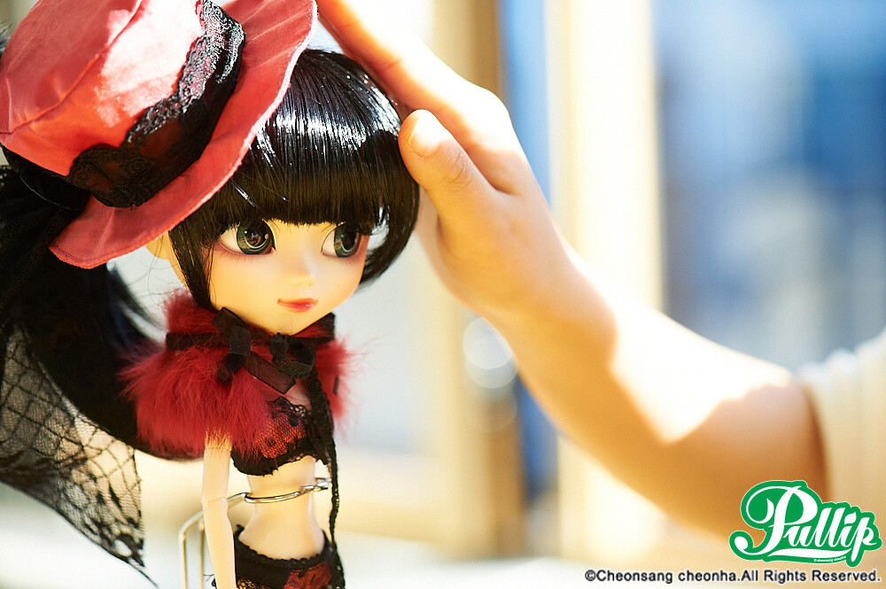 A Primer on Custom Dolls Beginning with Pullip: Connecting Hearts Through Love 2